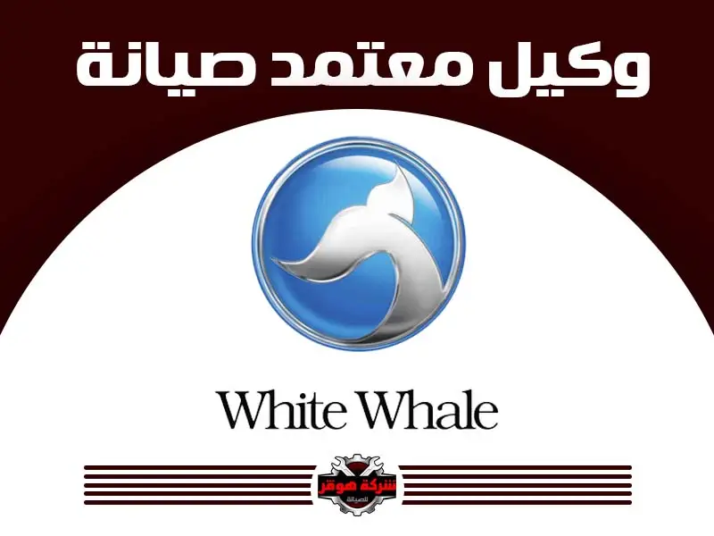 توكيل صيانة وايت ويل